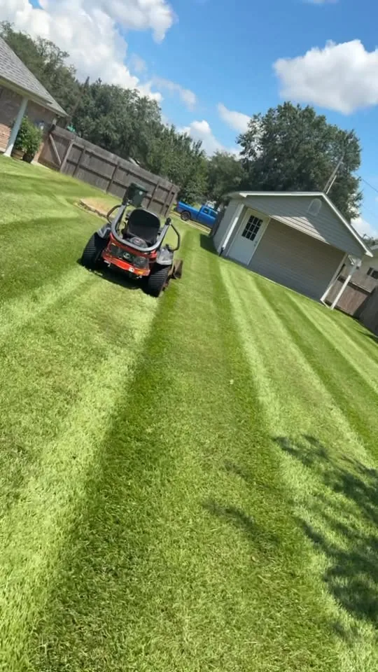 Freshly mowed backyard with mower
