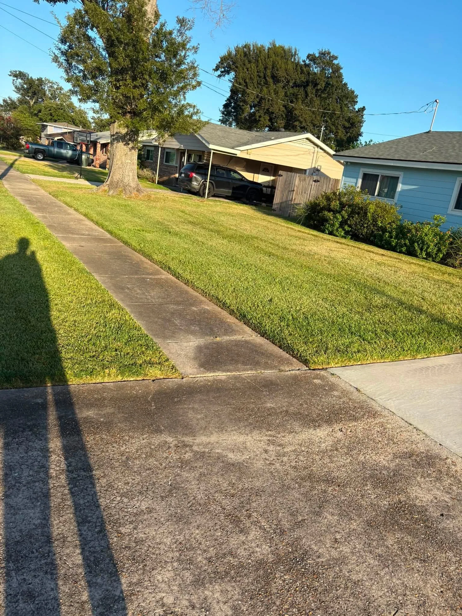 Hedge Trimming work by Washington Lawn Care and Service