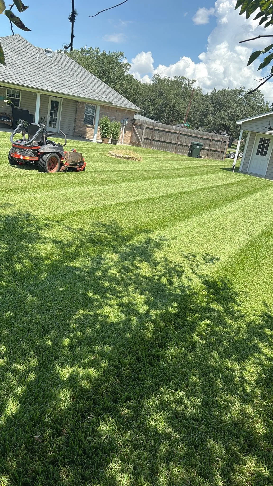 Lawn equipment on a freshly cut backyard