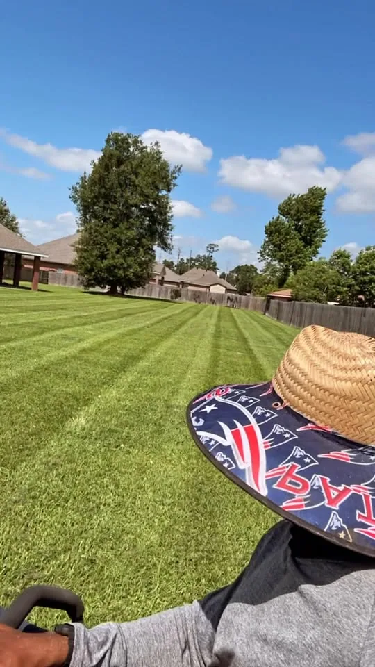 Lawn Care work by Washington Lawn Care and Service