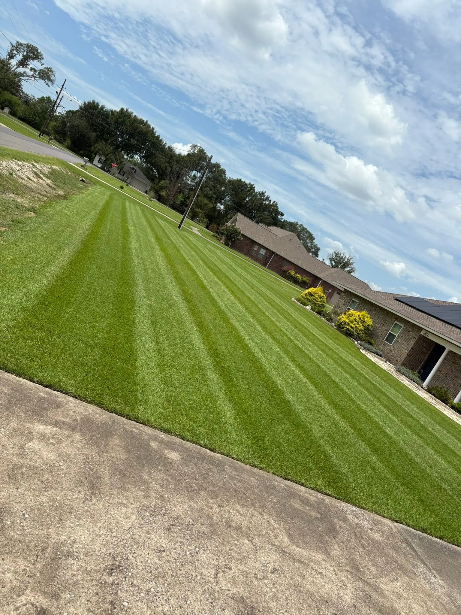 Wide front lawn with fresh mowing stripes